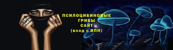 apvp Кукмор