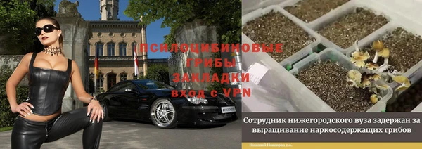 ALPHA PVP Куйбышев