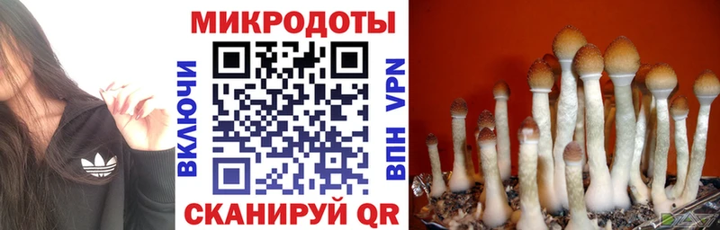 Купить закладки  Богородск  Галлюциногенные грибы мухоморы 